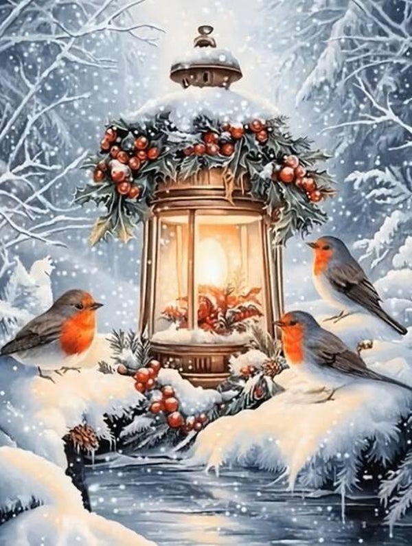 40x30cm Diamond Painting vogels lantaarn nr 707