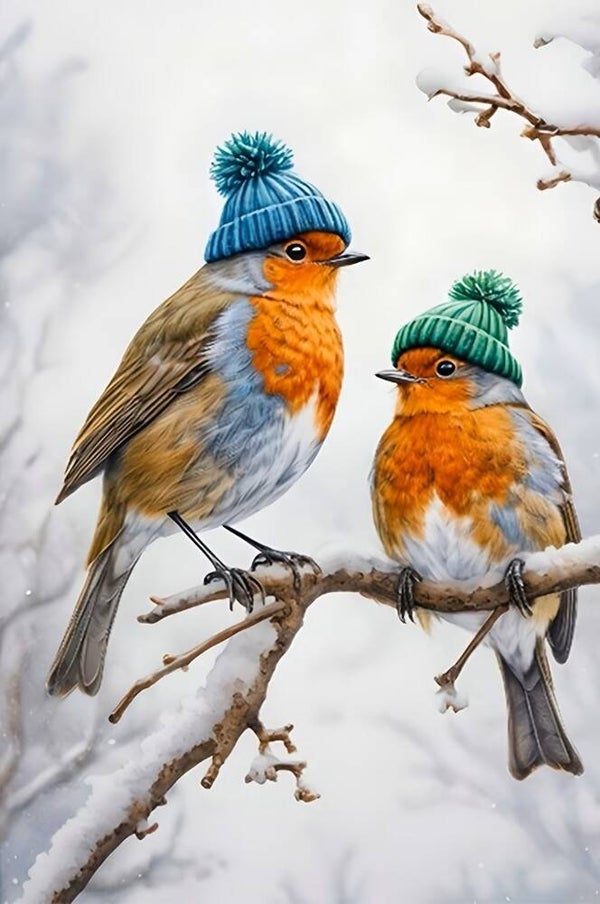 30x20cm Diamond painting vogels mutsen nr 425
