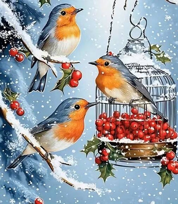 25x20cm Diamond Painting vogels vogelkooi nr 480