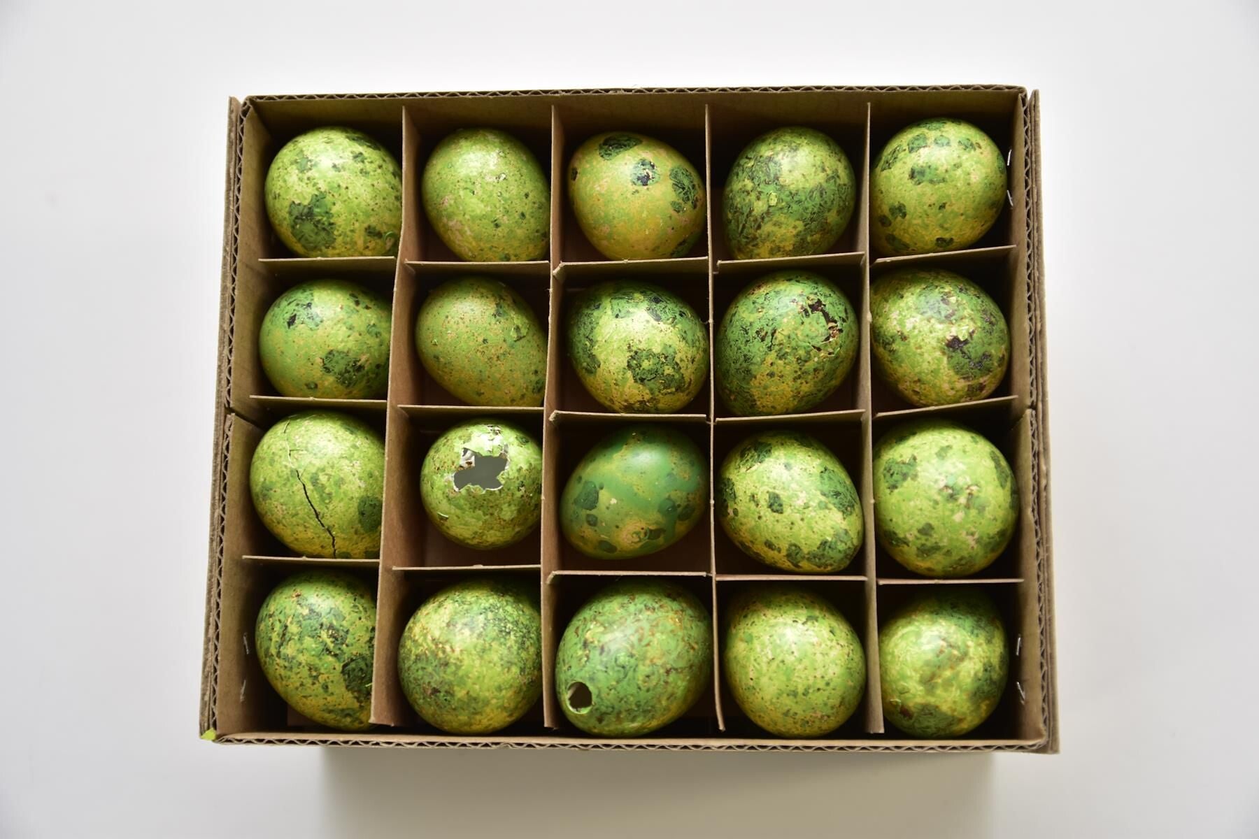 Doos á 60 kwarteleieren Groen