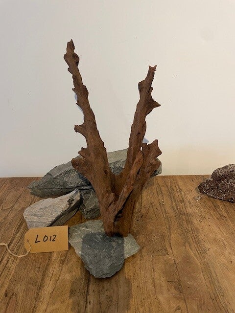 Driftwood size L012