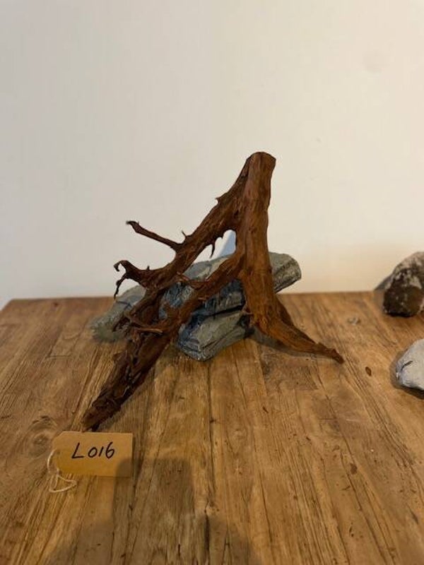 Driftwood size L016