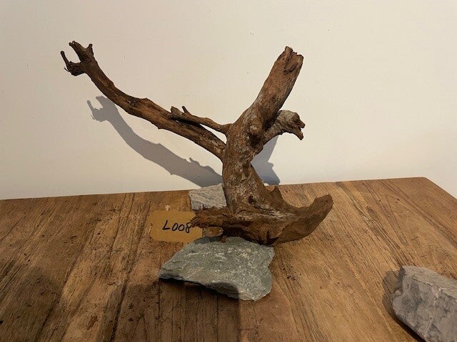 Driftwood size L008