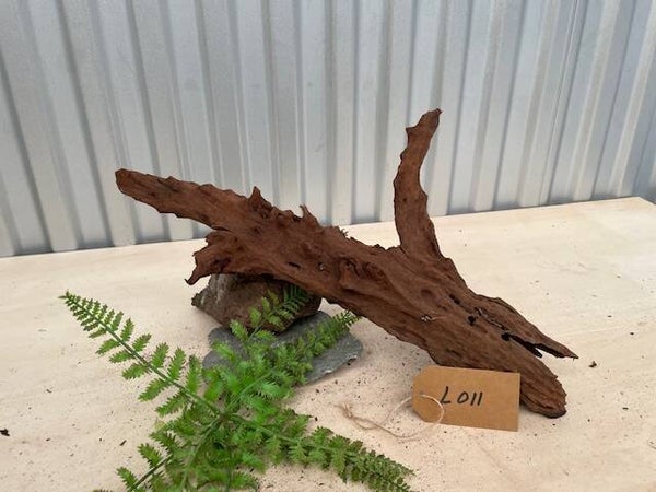 Driftwood size L011
