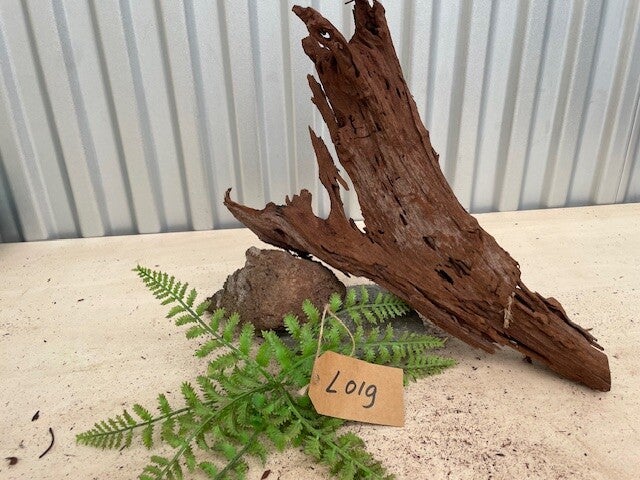 Driftwood size L019
