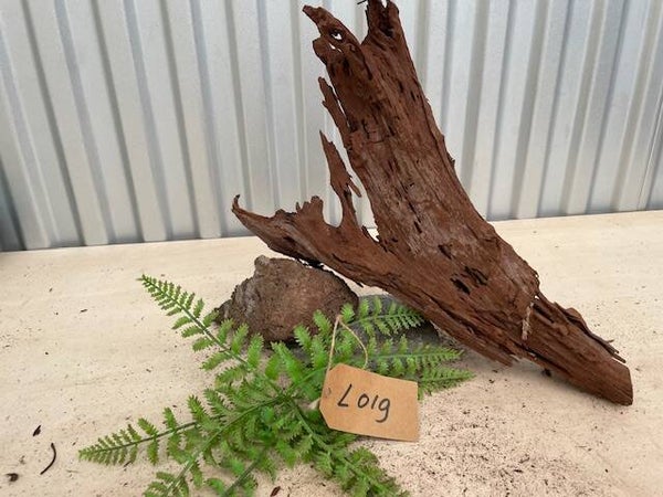 Driftwood size L019
