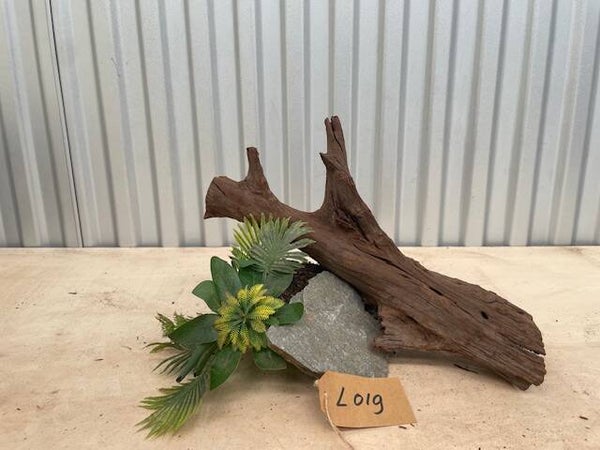 Driftwood size L019