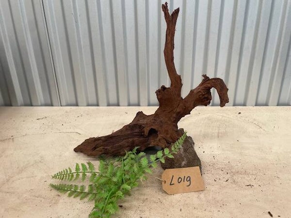 Driftwood size L019