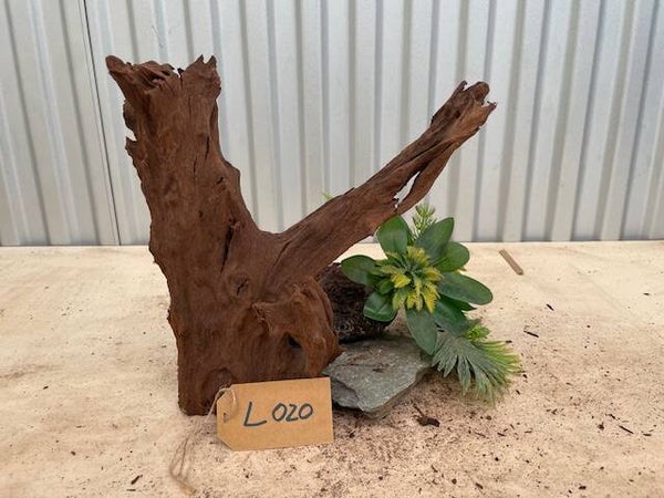 Driftwood size L020