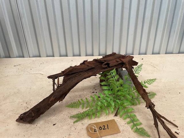 Driftwood size L021
