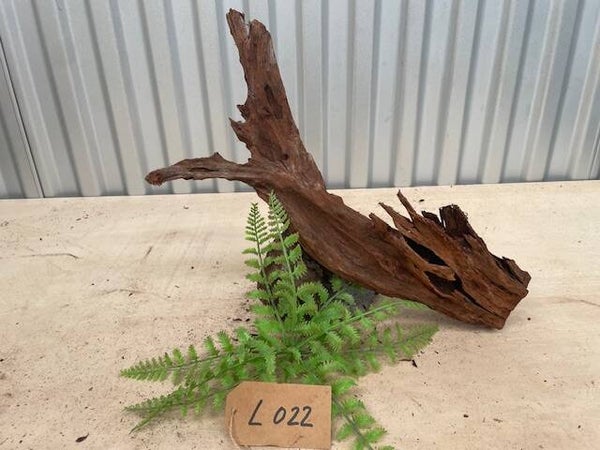 Driftwood size L022