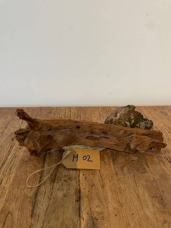 Driftwood size M02