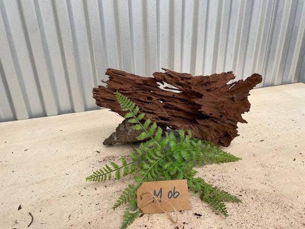 Driftwood size M06