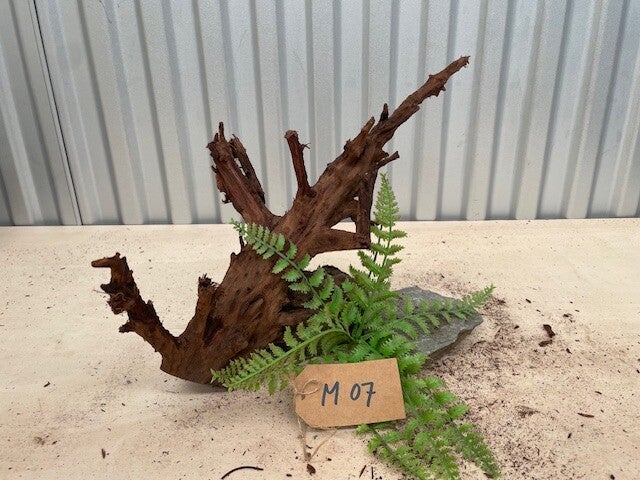 Driftwood size M07