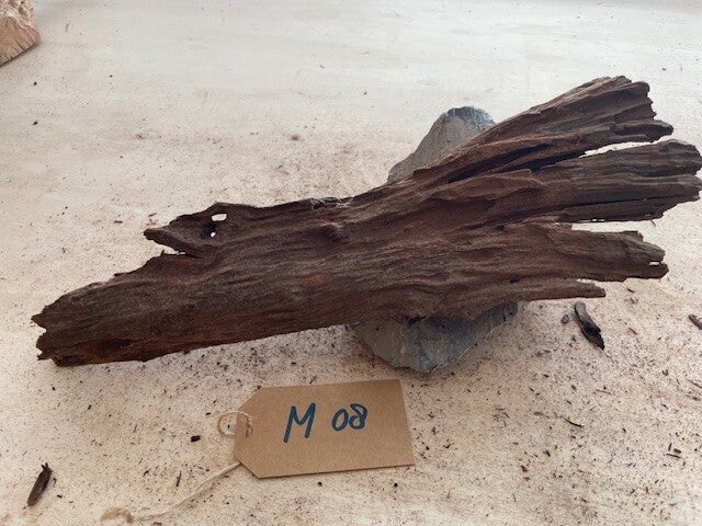 Driftwood size M08
