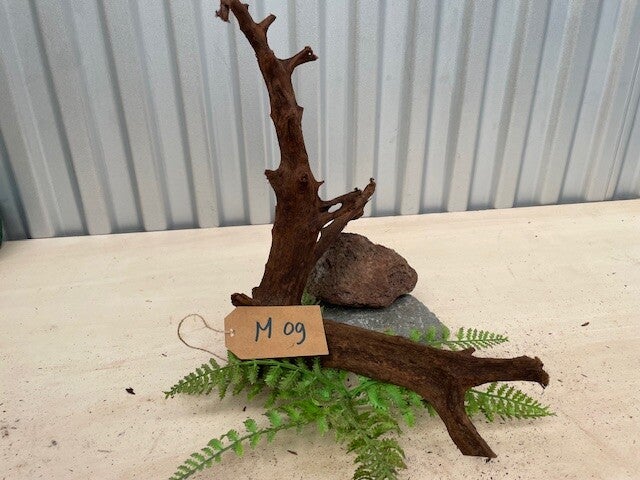 Driftwood size M09