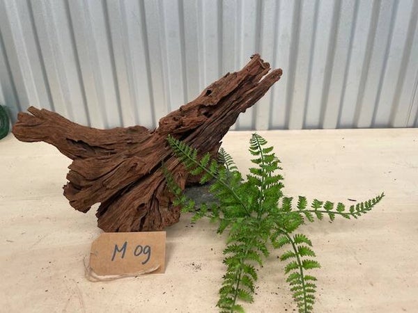 Driftwood size M09