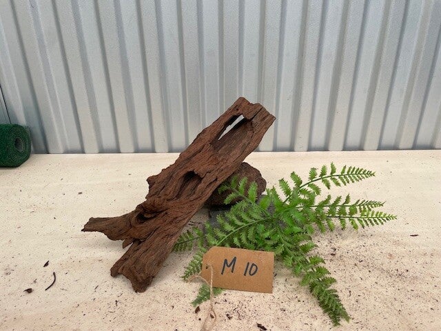 Driftwood size M10