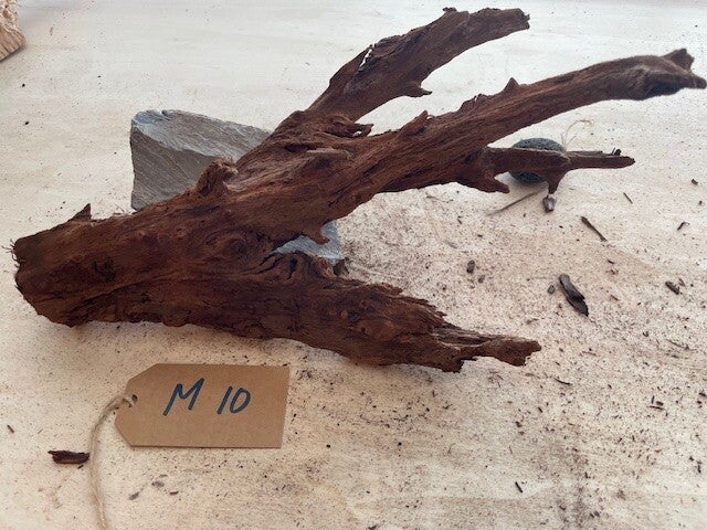 Driftwood size M10
