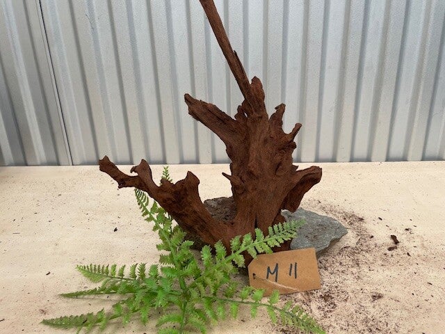 Driftwood size M11