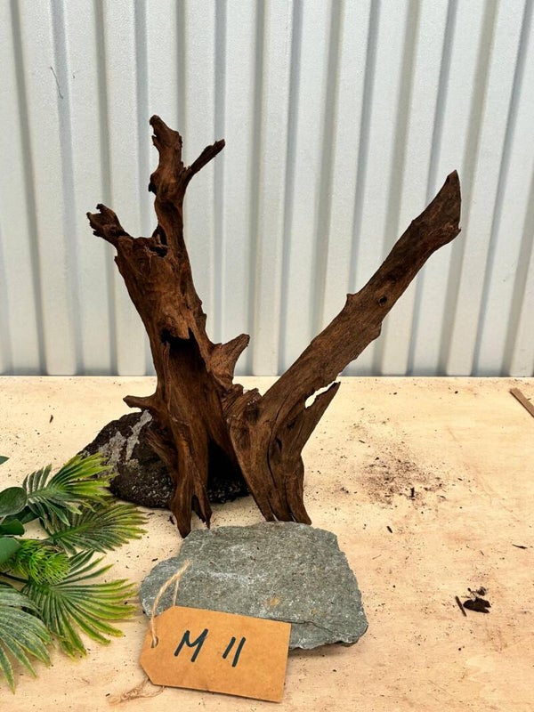 Driftwood size M11