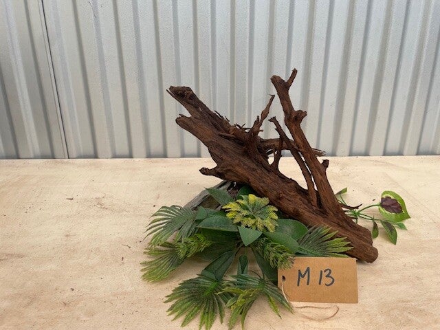 Driftwood size M13