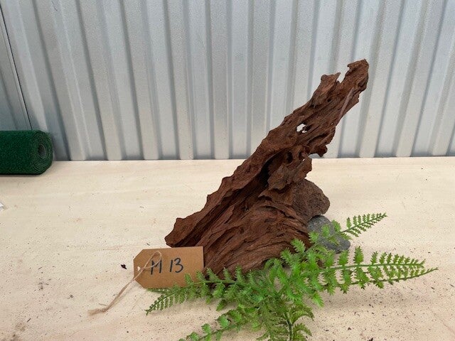 Driftwood size M13