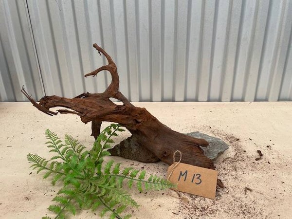 Driftwood size M13