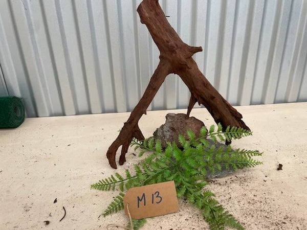 Driftwood size M13
