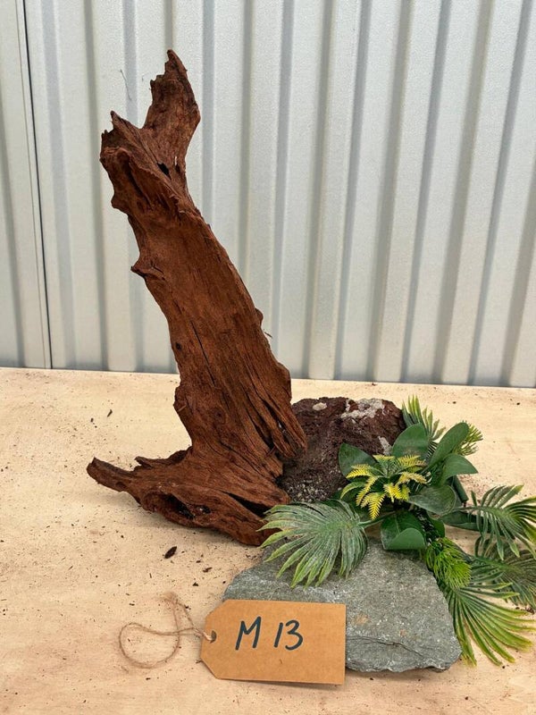 Driftwood size M13
