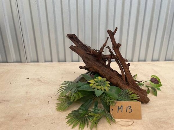 Driftwood size M13