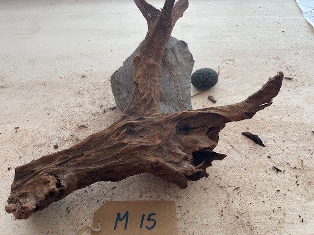 Driftwood size M15