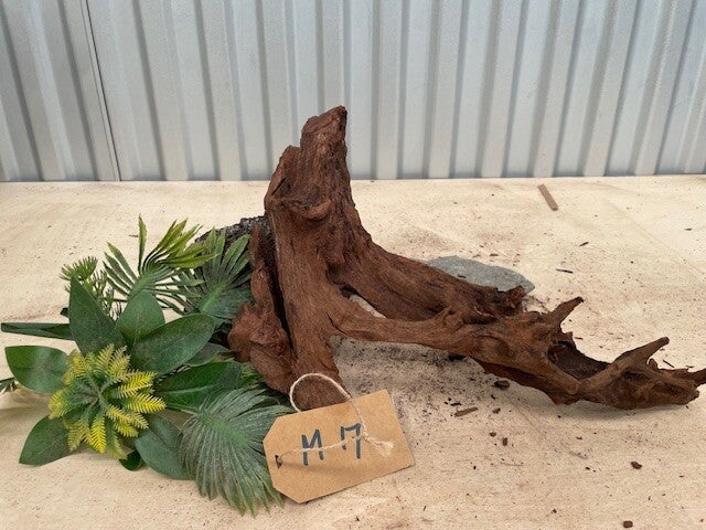 Driftwood size M17