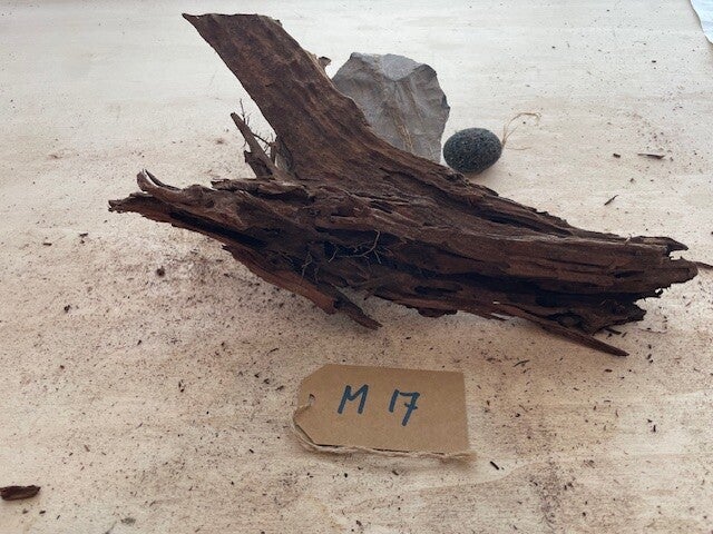 Driftwood size M17