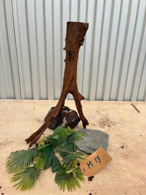 Driftwood size M17