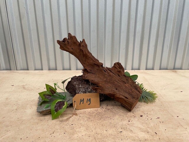Driftwood size M19
