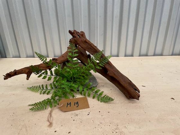 Driftwood size M19