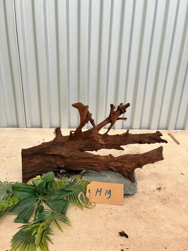 Driftwood size M19