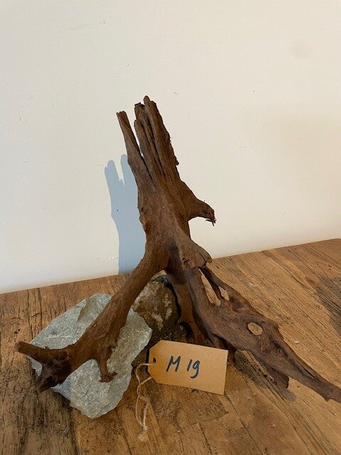 Driftwood size M19