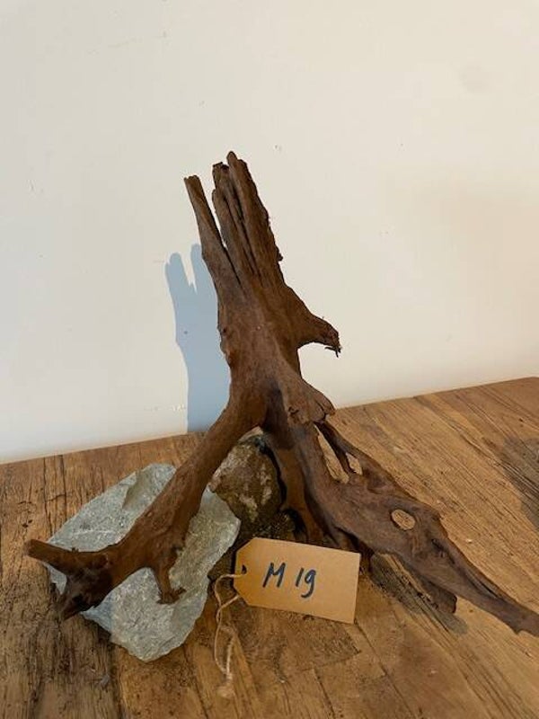 Driftwood size M19