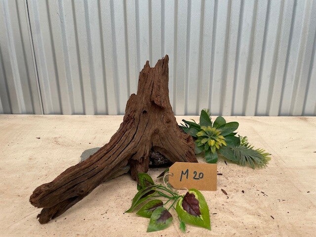 Driftwood size M20