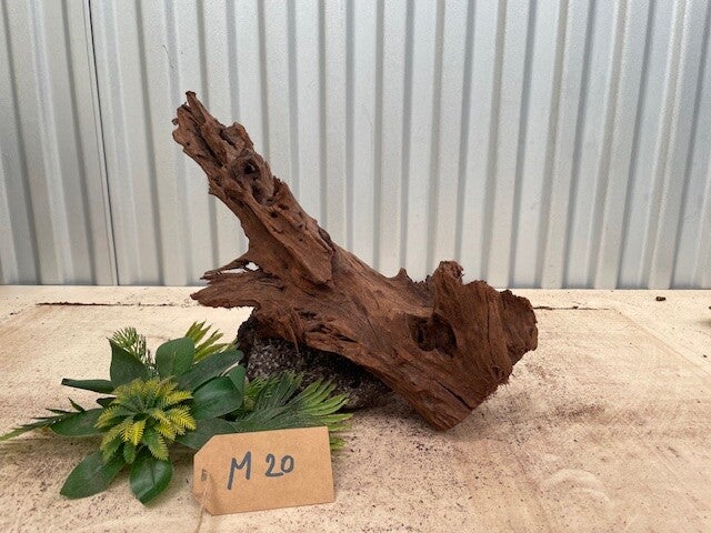 Driftwood size M20
