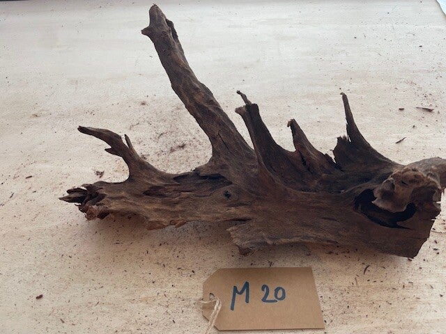 Driftwood size M20