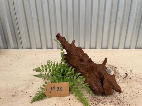 Driftwood size M20