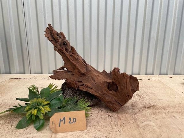 Driftwood size M20