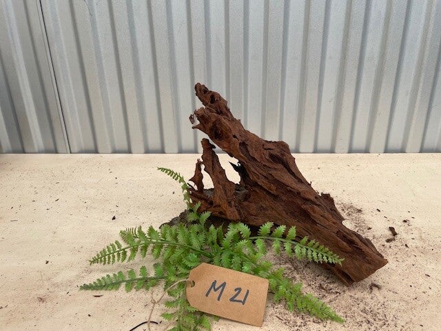 Driftwood size M21