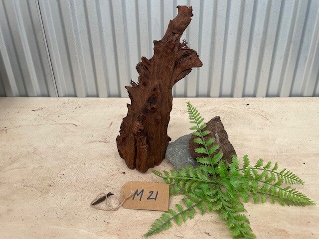 Driftwood size M21
