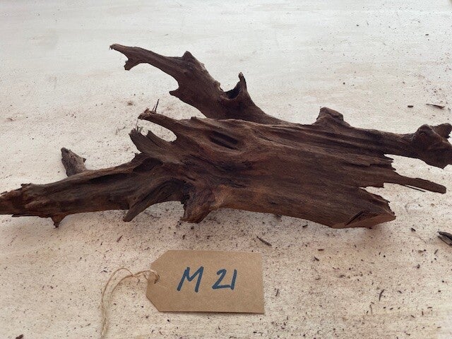 Driftwood size M21