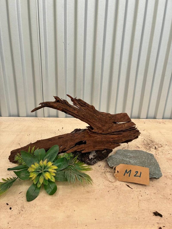 Driftwood size M21