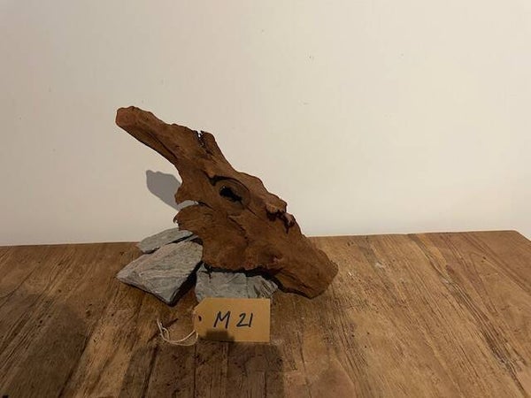 Driftwood size M21